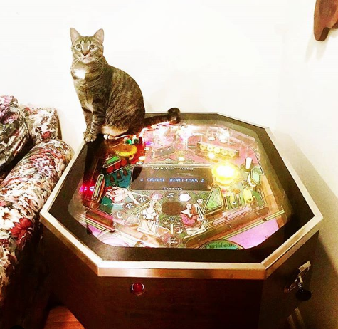 Carribean Cruise Pinball Machine For Sale Cocktail