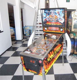 No Fear Pinball Machines