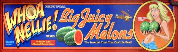 Whoa Nellie! Pinball Machine For Sale Stern Whizbang Big Juicy Melons